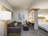 SpringHill Suites San Angelo Hotels in Tom Green County