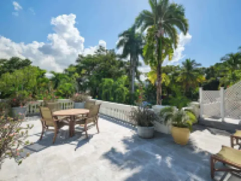 Terra Nova All Suite Hotel Hotels in Kingston