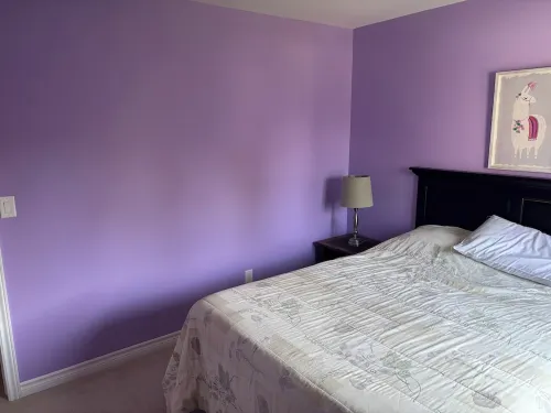 Beautiful Room, Comfortable Bed, South Facing Window