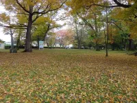 Furalin Hotels in Minamifurano