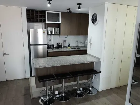 Charming 2-bedroom apartment with WiFi and fitness room in vibrant Santiago