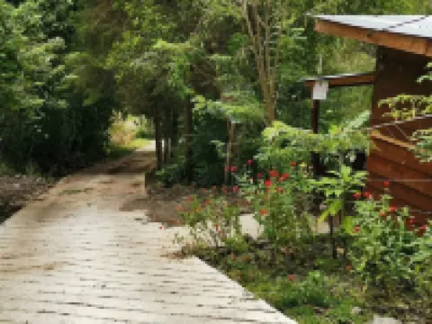 Cozy cabaña overlooking a beautiful valley. Finca Fajardo Lodge. Rustic Cabin#1 帕拉伊索酒店