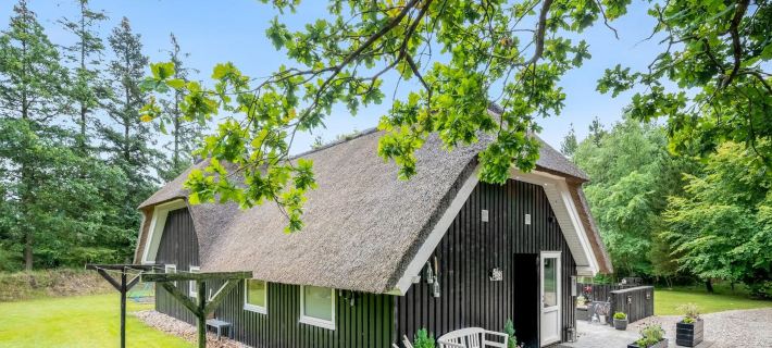 "Arttu" - 2.4km from the Sea Hotels in Blåvand