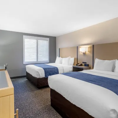 Comfort Inn San Diego Miramar Hotels near Green Flash Brewery