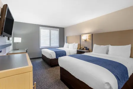 Comfort Inn San Diego Miramar Отели рядом с достопримечательностью «Гора Коулс»