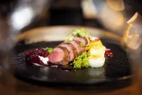 Arctic TreeHouse Hotel