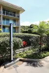 The Blue Tide House: Steps to Maui beaches + nearby eats