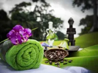 Sofitel Malabo Sipopo le Golf - spa