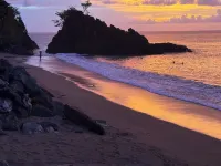 Birdie's Nest - Strand