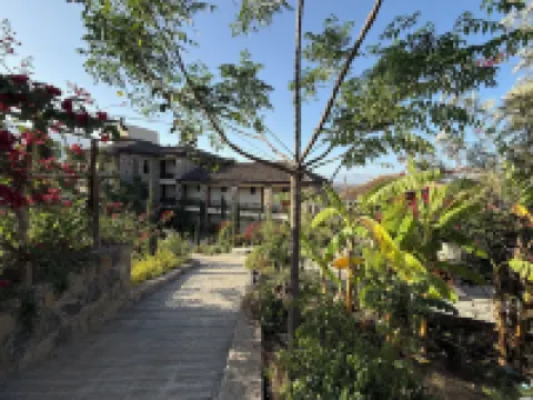 Hilltop Lodge Lalibela Hotels in 