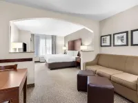 Comfort Suites Hotels in Sumter County