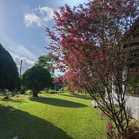 Aura Hilltop Matale