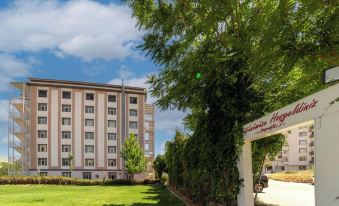 Tiryandafil Otel