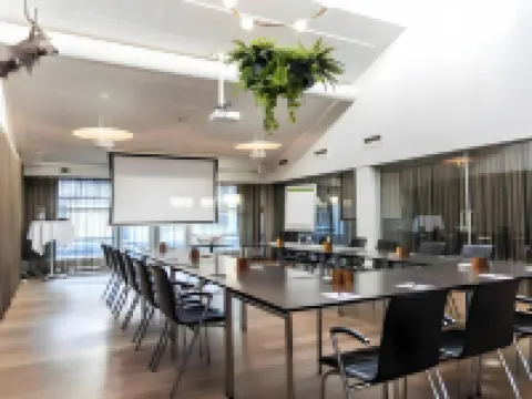 比隆天鵝酒店 比隆酒店