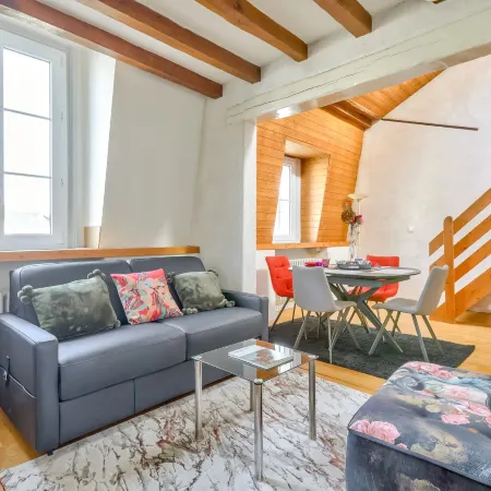 Comfortable Duplex - in the Heart of Angers for 8