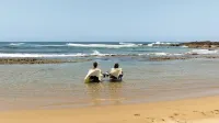 Royal Isabela - Ocean View