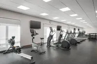 Holiday Inn Express & Suites DFW Airport Southwest - Euless by IHG - Gym