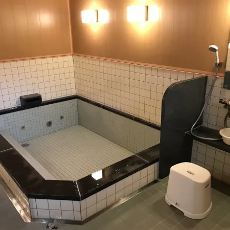 Hotel Famitic Nikko Station