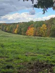 Cozy 1-BR cabin with Kid's Loft, Hot Tub & Large Deck on Working Buffalo Farm