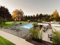 Novotel Nancy - Pool