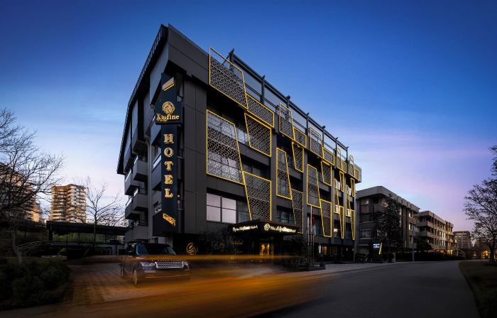 The Alpfine Hotel