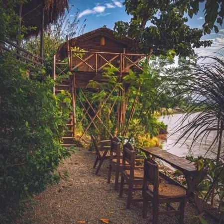 Happy Lemon Tree Lodge
