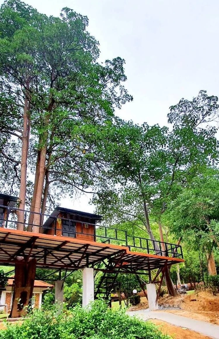 รูปภาพของกระท่อมวิวภูเขาสำหรับ 2 ท่าน พร้อมนกหายาก จักรยาน และธรรมชาติ
