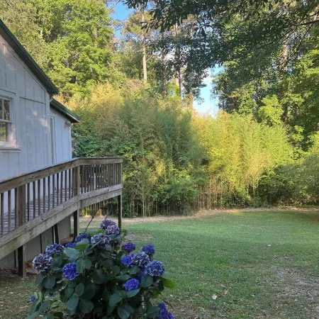 Quaint, PET-FRIENDLY cottage in downtown Bremen-games for the fam/full kitchen
