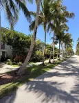 Key Biscayne Gem — Steps to Beach, Pool Views, King Bed, Parking - Wifi