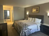 Red Roof Inn Media, PA - Pet friendly