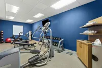 Hampton Inn & Suites Port Richey - gimnasio