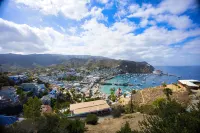 Catalina Courtyard Suites - Ocean View