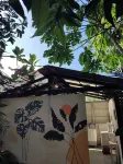 Private Jungle Loft in Playa Cocles - Apartments