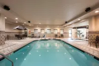 Hilton Garden Inn Columbus/Edinburgh - Pool
