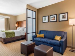 Comfort Suites San Antonio Airport North