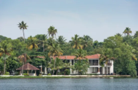 Purity at Lake Vembanad
