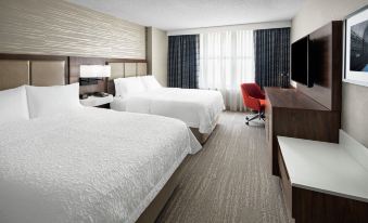 Hampton Inn & Suites Chicago-Downtown