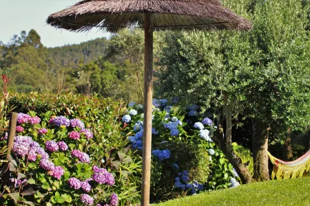 Toca Dos Lobos - Ecological Cabin Отели в г. Ден