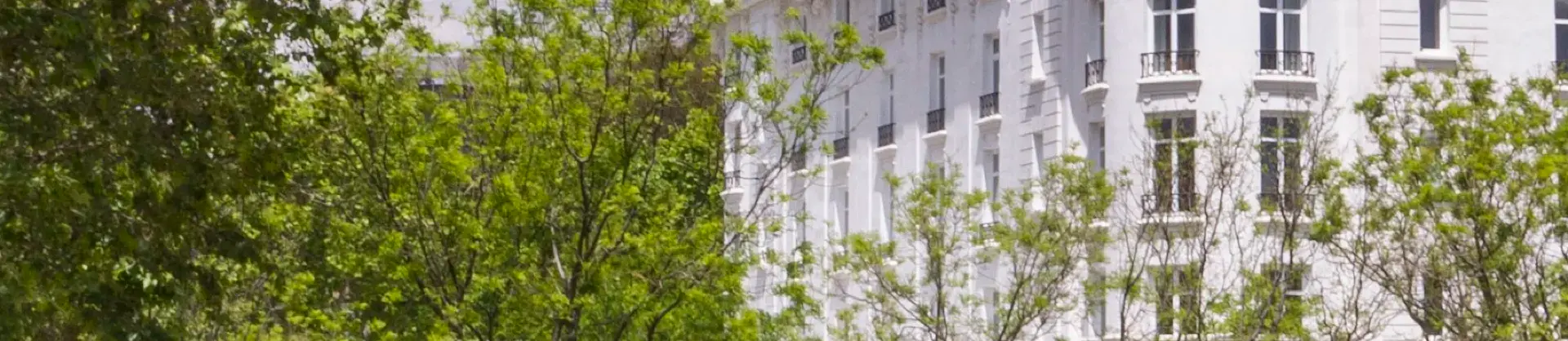 Luxury Hotels