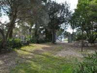 Corbezzolo - Villas