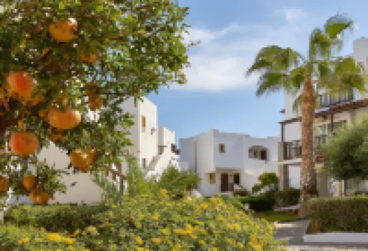 Alexander Beach Hotel & Village Resort