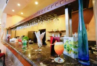 Tolip Family Park Hotel - Bars