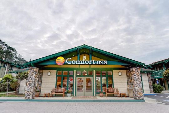 퀄리티 인 하프 문 베이