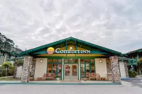 Quality Inn Half Moon Bay-Miramar Beach