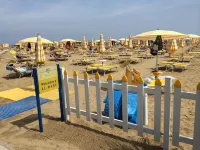 Hotel Al Mare - Airport Shuttle
