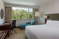 Radisson Hotel Brunei Darussalam Hotels in Kota Batu
