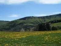 L'Atelier S