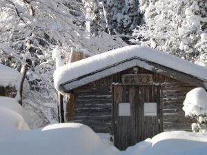 Maiko Lodge Don