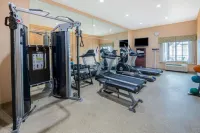 Holiday Inn Express & Suites ARDMORE by IHG - Gym