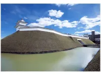 Daiwa Roynet Hotel Utsunomiya Hotels in Utsunomiya